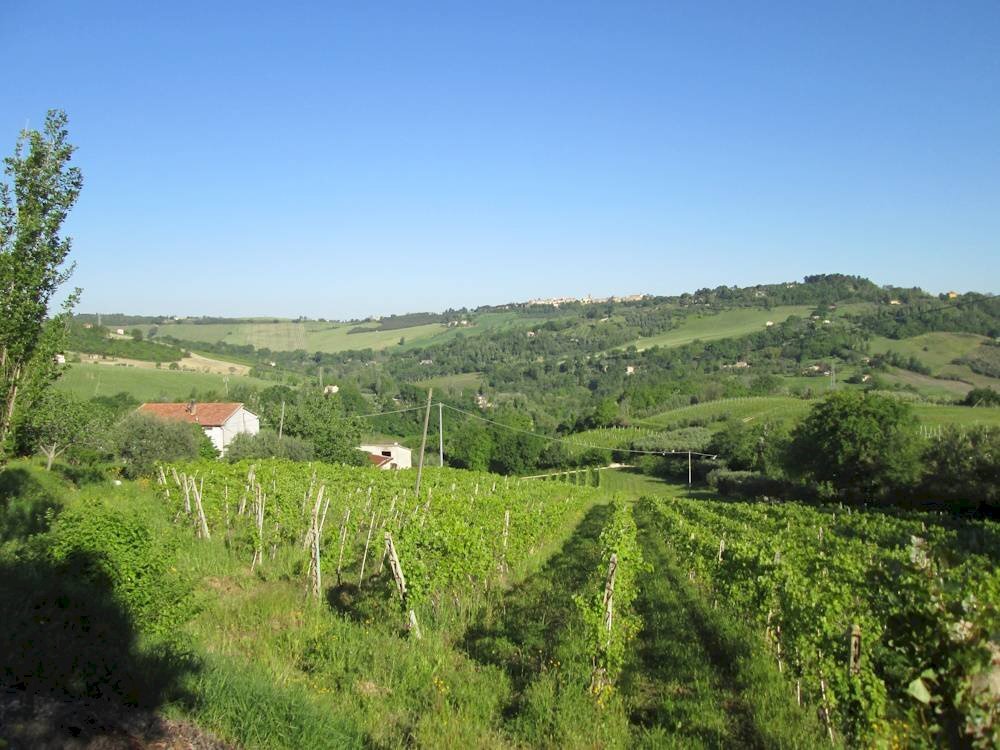 Foto 3 - Rustico Via Forcone
1, Cupramontana - foto 3