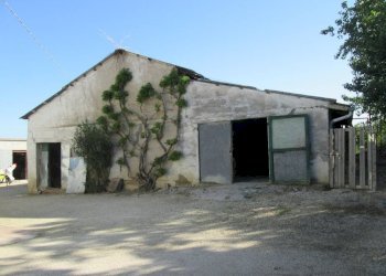 Foto 2 - Rustico Via Forcone
 
1, Cupramontana - foto 2