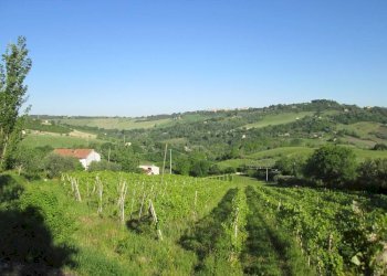 Foto 3 - Rustico Via Forcone
 
1, Cupramontana - foto 3