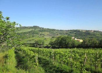 Foto 4 - Rustico Via Forcone
 
1, Cupramontana - foto 4