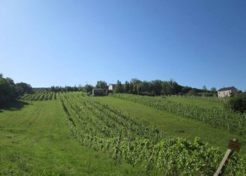 Foto 5 - Rustico Via Forcone
 
1, Cupramontana - foto 5