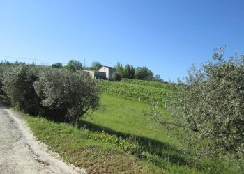 Foto 7 - Rustico Via Forcone
 
1, Cupramontana - foto 6