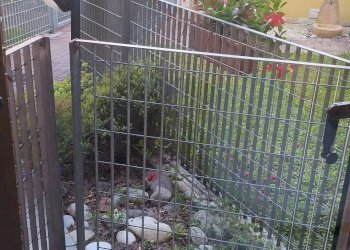 Foto 19 - Villa a Schiera via Medeot, San Lorenzo Isontino - foto 19