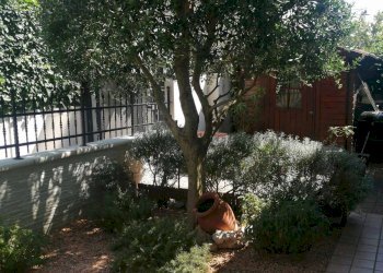 Foto 17 - Villa a Schiera via della marcelliana, Monfalcone - foto 17