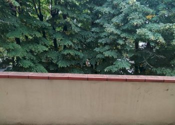 Foto 16 - Quadrilocale VIALE SAN MARCO, Monfalcone - foto 16