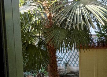 Foto 28 - Trilocale Via San Polo, Monfalcone - foto 28