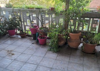 Foto 22 - Independent house PIAZZA DANTE ALIGHIERI, Staranzano - photo 22