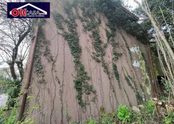 Foto 4 - Rustico Via Brigata Cuneo
 
39, Gorizia - foto 4