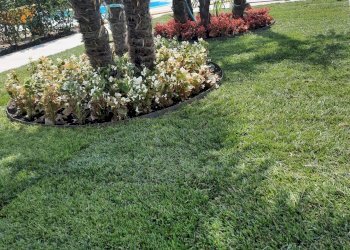 Foto 24 - Stable - Palace località Ca di Mezzo, Bussolengo - photo 24