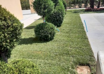 Foto 27 - Stable - Palace località Ca di Mezzo, Bussolengo - photo 27