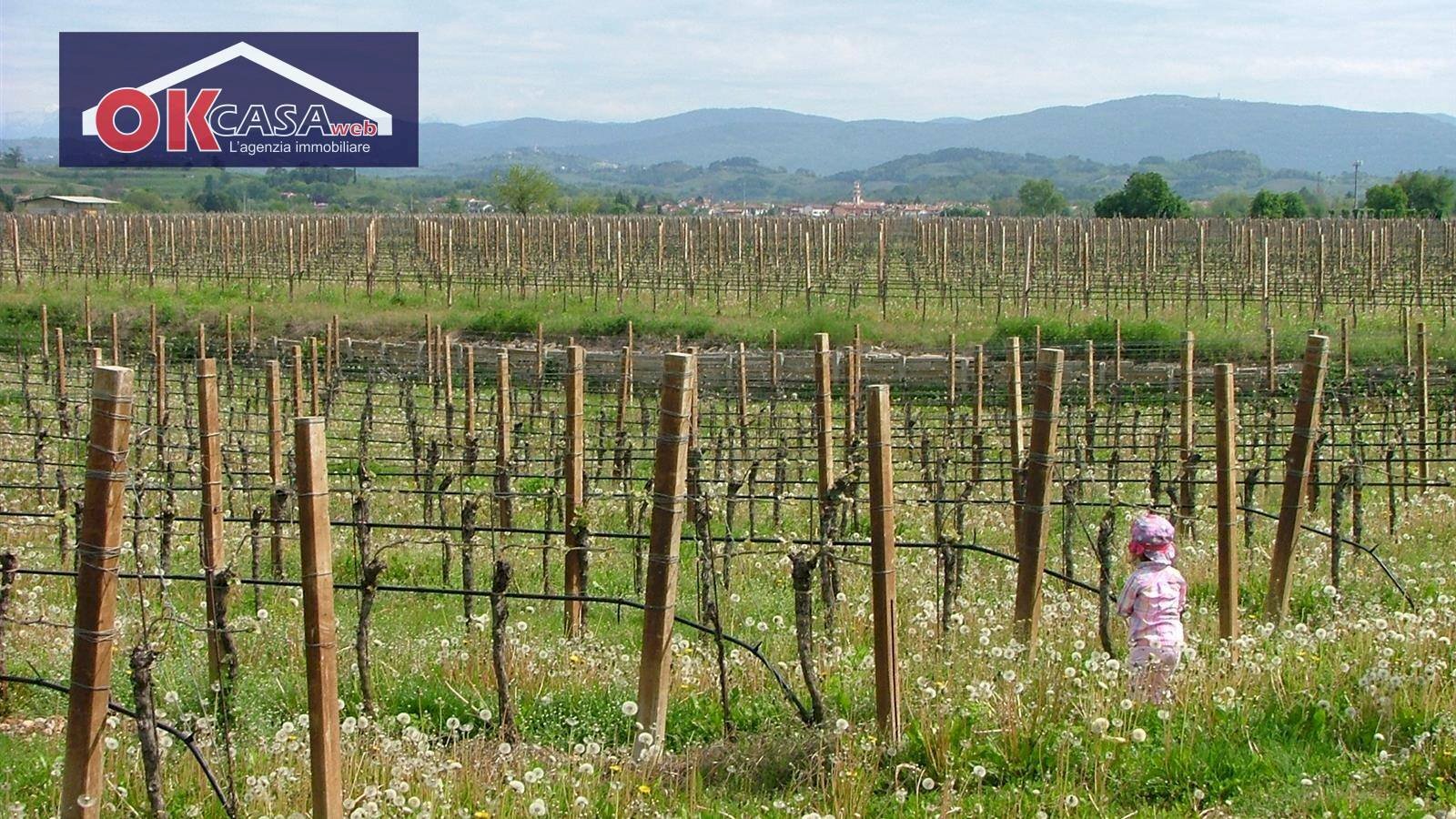 Foto 3 - Trilocale Via Udine, San Lorenzo Isontino - foto 3