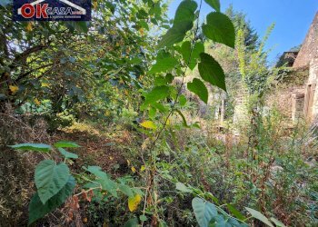 Foto 18 - Rustico via primo maggio, Zevio - foto 18