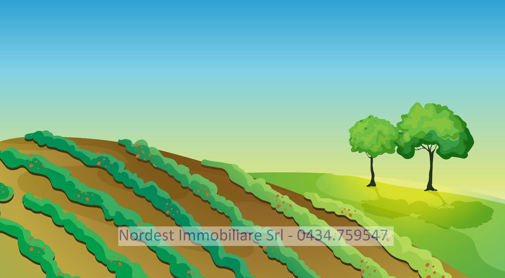 Foto 1 - Terreno agricolo Gaiarine - foto 1