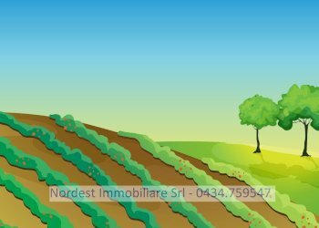 Foto 1 - Terreno agricolo Gaiarine - foto 1