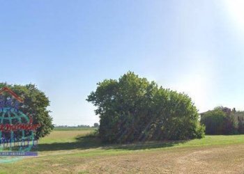 Foto 9 - Rustico VIA ORIENTE
 
SNC, Castello d'Argile - foto 9