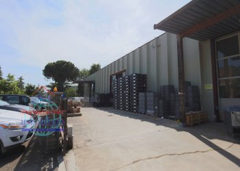 Foto 5 - Capannone VIA FARINI
 
15, Cento - foto 5