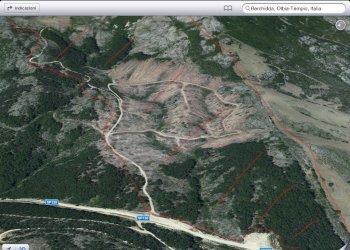 Foto 6 - Terreno agricolo Loc. Sualza, Berchidda - foto 6