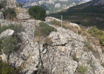 Foto 9 - Terreno agricolo Loc. Sualza, Berchidda - foto 9