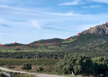 Foto 10 - Terreno agricolo Loc. Sualza, Berchidda - foto 10