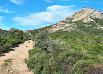 Foto 11 - Terreno agricolo Loc. Sualza, Berchidda - foto 11