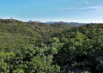 Foto 19 - Terreno agricolo Loc. Sualza, Berchidda - foto 19