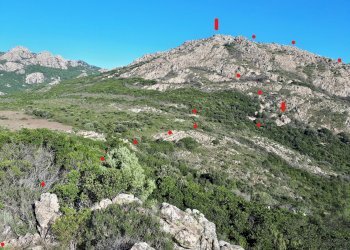 Foto 22 - Terreno agricolo Loc. Sualza, Berchidda - foto 22