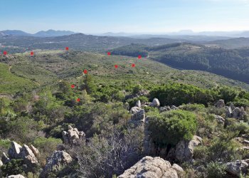 Foto 23 - Terreno agricolo Loc. Sualza, Berchidda - foto 23