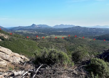 Foto 24 - Terreno agricolo Loc. Sualza, Berchidda - foto 24