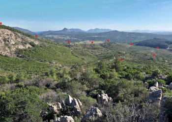 Foto 25 - Terreno agricolo Loc. Sualza, Berchidda - foto 25