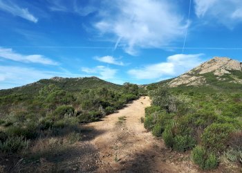 Foto 27 - Terreno agricolo Loc. Sualza, Berchidda - foto 27