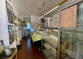 Foto 6 - Commercial Premises Piazza Cossiga Golfo Aranci, Golfo Aranci - photo 6