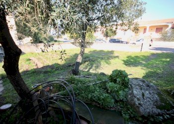 Foto 6 - Terreno edificabile VIA MONTESSORI
 
2, Telti - foto 6