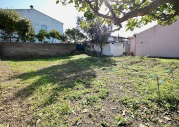 Foto 7 - Terreno edificabile VIA MONTESSORI
 
2, Telti - foto 7