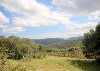 Foto 4 - Agricultural land strada statale, Sant'Antonio di Gallura - photo 4