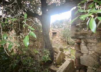 Foto 6 - Agricultural land strada statale, Sant'Antonio di Gallura - photo 6