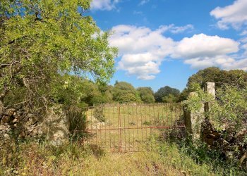 Foto 8 - Agricultural land strada statale, Sant'Antonio di Gallura - photo 8