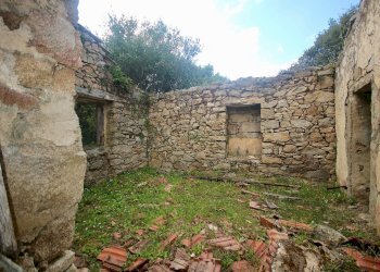 Foto 19 - Agricultural land strada statale, Sant'Antonio di Gallura - photo 19