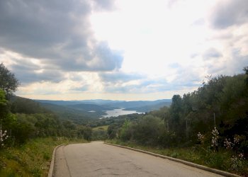 Foto 21 - Agricultural land strada statale, Sant'Antonio di Gallura - photo 21