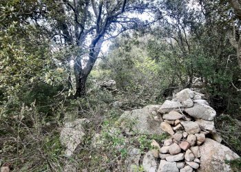 Foto 23 - Agricultural land strada statale, Sant'Antonio di Gallura - photo 23