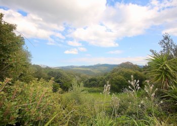 Foto 37 - Agricultural land strada statale, Sant'Antonio di Gallura - photo 37