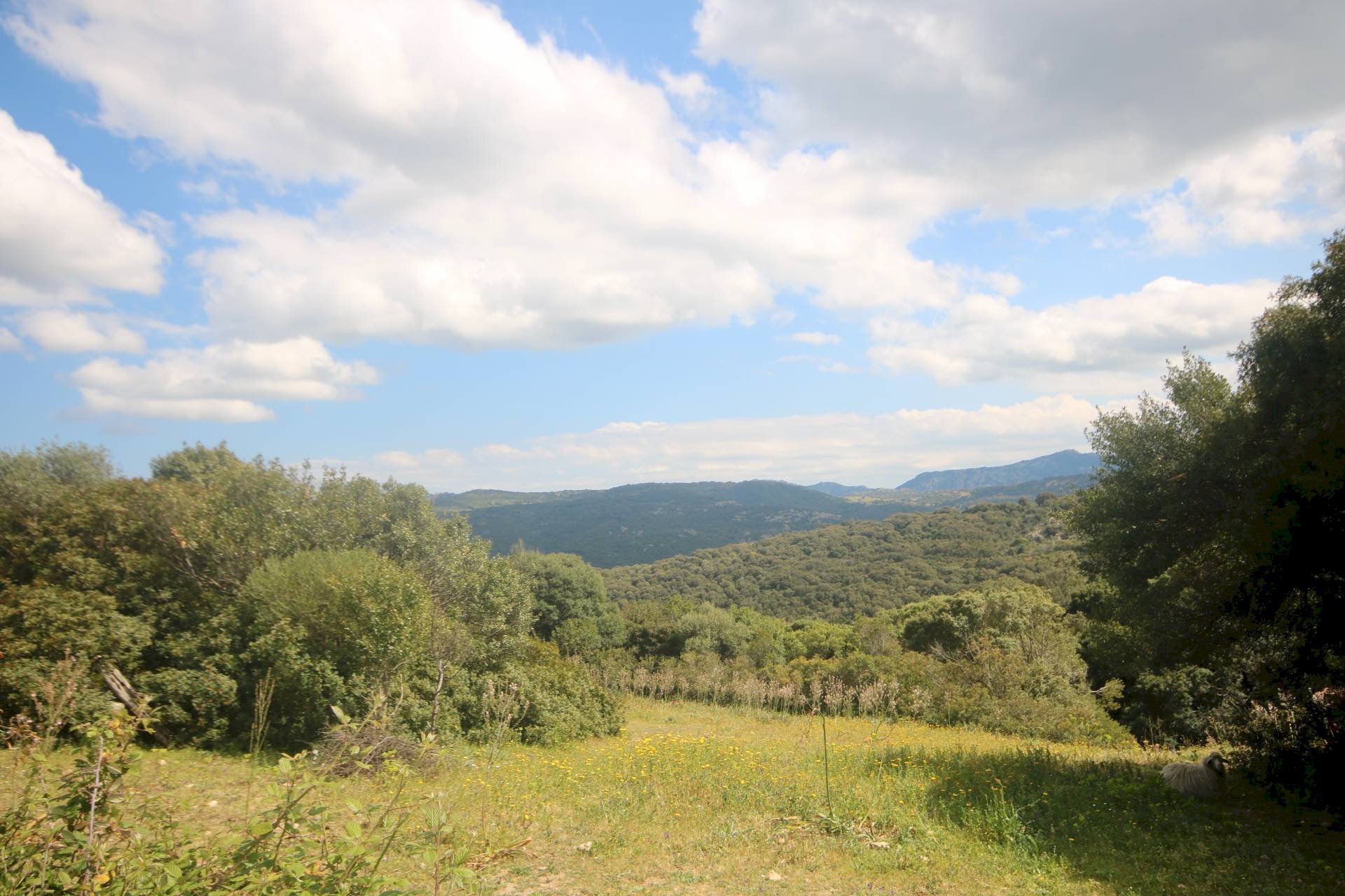 Foto 3 - Rustico strada statale
 
snc, Sant'Antonio di Gallura - foto 3