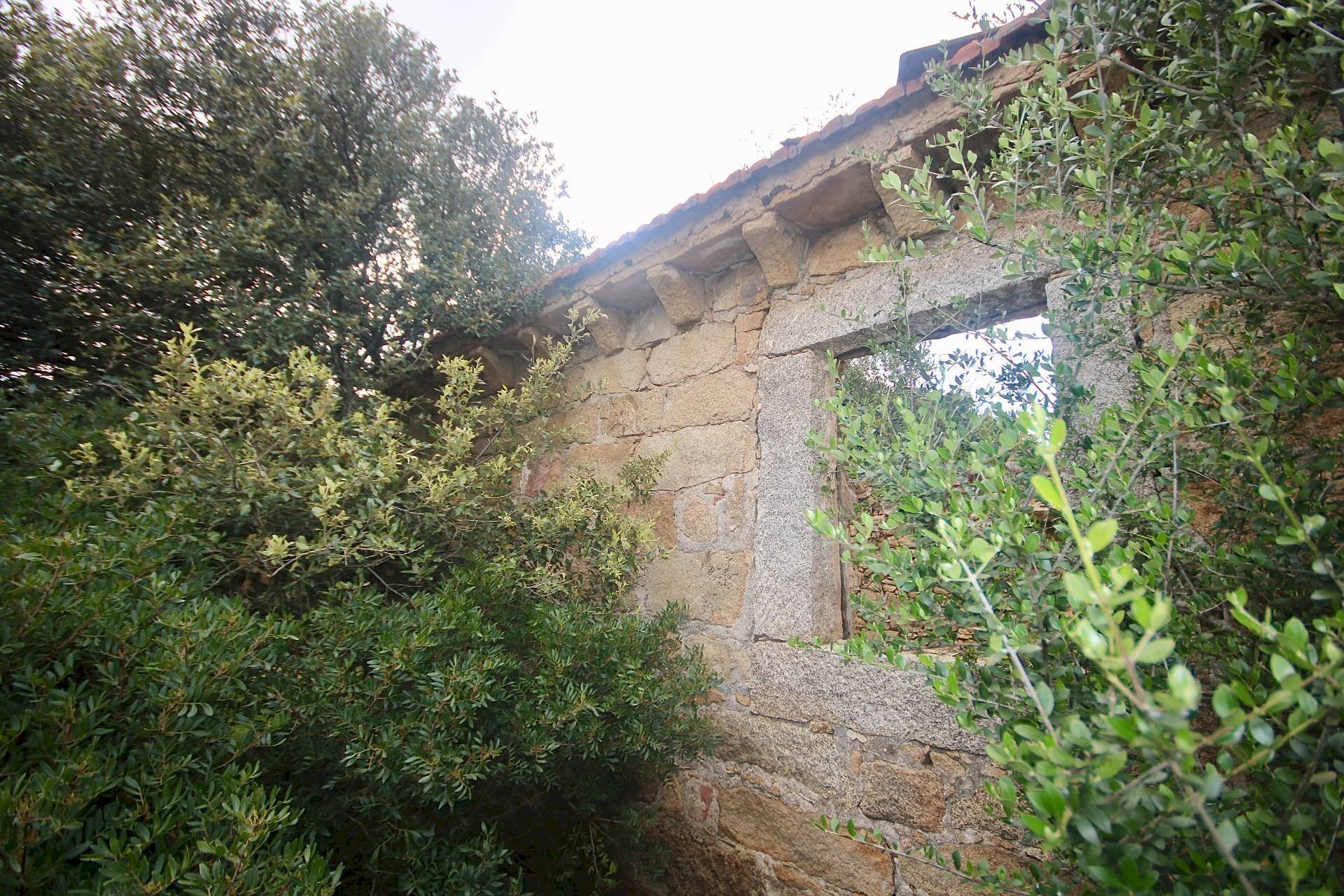 Foto 1 - Rustic strada statale
 
snc, Sant'Antonio di Gallura - photo 1