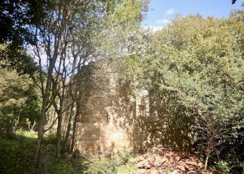 Foto 4 - Rustico strada statale
 
snc, Sant'Antonio di Gallura - foto 4