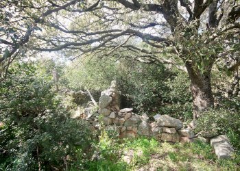 Foto 8 - Rustico strada statale
 
snc, Sant'Antonio di Gallura - foto 8