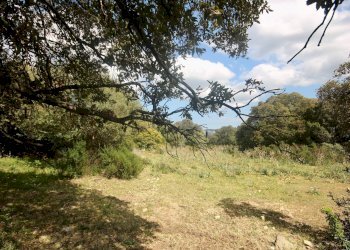 Foto 9 - Rustico strada statale
 
snc, Sant'Antonio di Gallura - foto 9