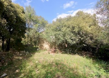 Foto 10 - Rustico strada statale
 
snc, Sant'Antonio di Gallura - foto 10