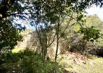 Foto 11 - Rustico strada statale
 
snc, Sant'Antonio di Gallura - foto 11