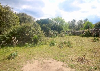 Foto 13 - Rustico strada statale
 
snc, Sant'Antonio di Gallura - foto 13