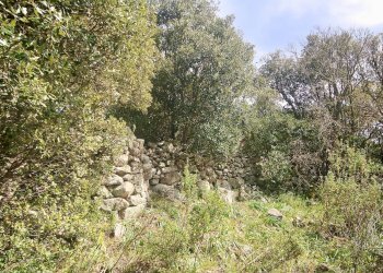 Foto 15 - Rustico strada statale
 
snc, Sant'Antonio di Gallura - foto 15