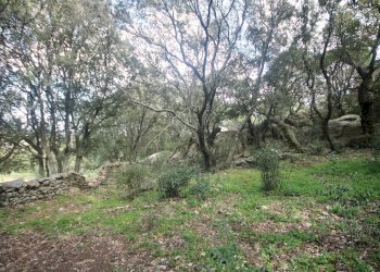 Foto 16 - Rustico strada statale
 
snc, Sant'Antonio di Gallura - foto 16